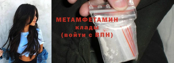 индика Снежногорск