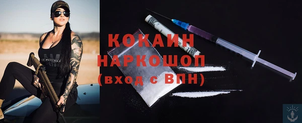 молекула духа Алзамай