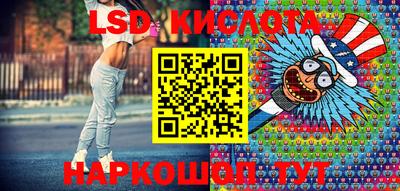 индика Можайск