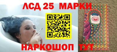 гидропоника Можга