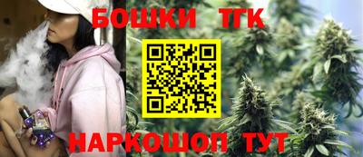 индика Можайск