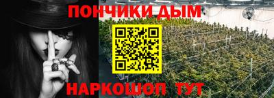 индика Можайск