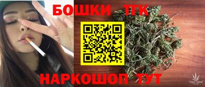 индика Можайск