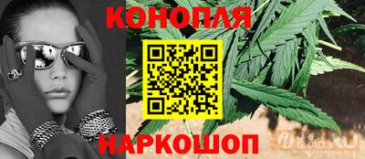 гидропоника Можга
