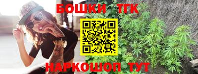 гидропоника Можга