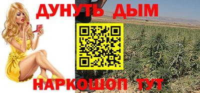 гидропоника Можга
