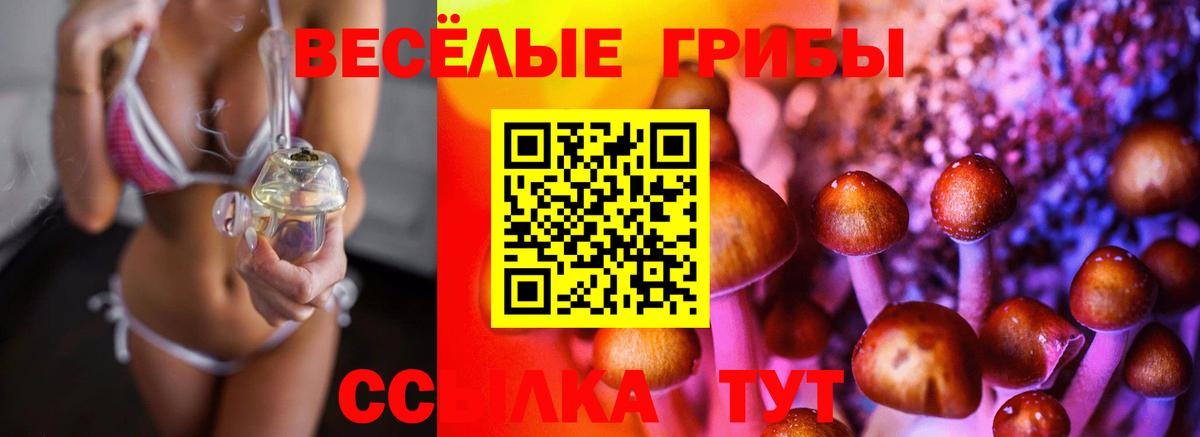 Ефремов  Псилоцибиновые грибы MAGIC MUSHROOMS  Вход с VPN 